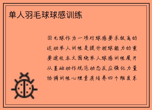 单人羽毛球球感训练