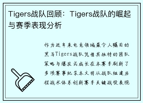 Tigers战队回顾：Tigers战队的崛起与赛季表现分析